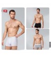 Mens boxer shorts NAMALDE 136