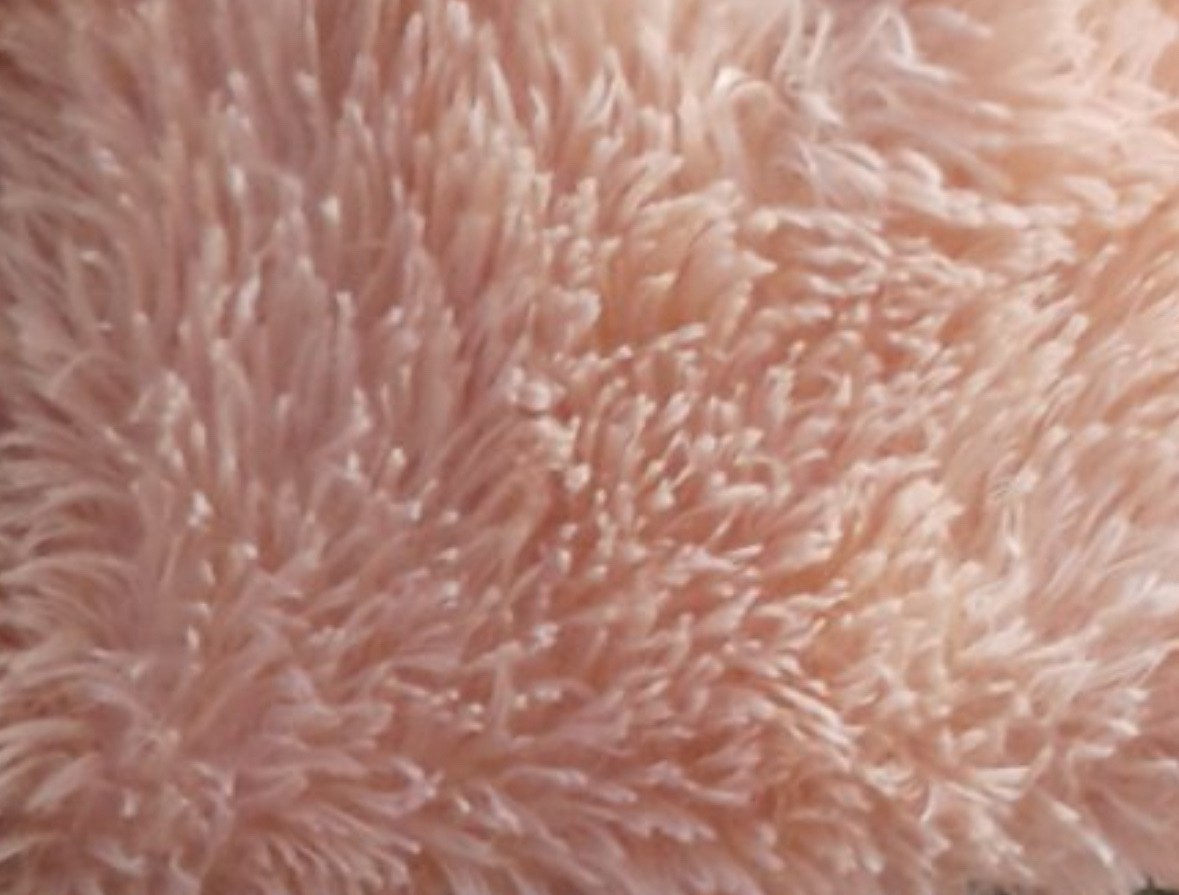 Bedspread Koloco grass 220 * 240